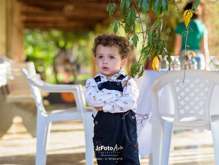 Aniversário infantil de Pedro 2 anos