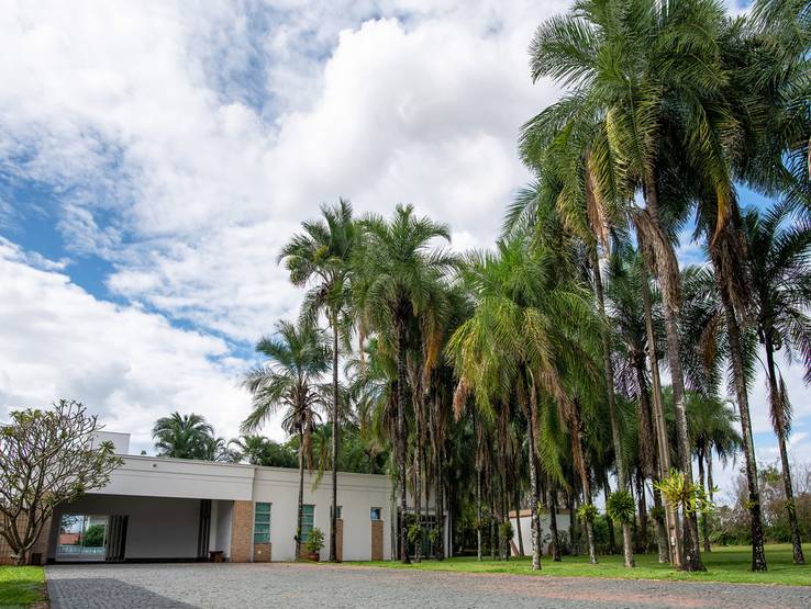 Empresas de Casa Branca - Festas e Eventos