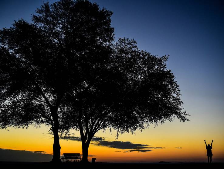 Pre 15 años  de Andrea