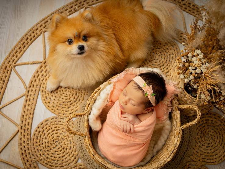 Sessão Newborn de Helena, 13 dias