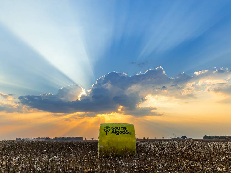 Publicidade de Tama Brasil
