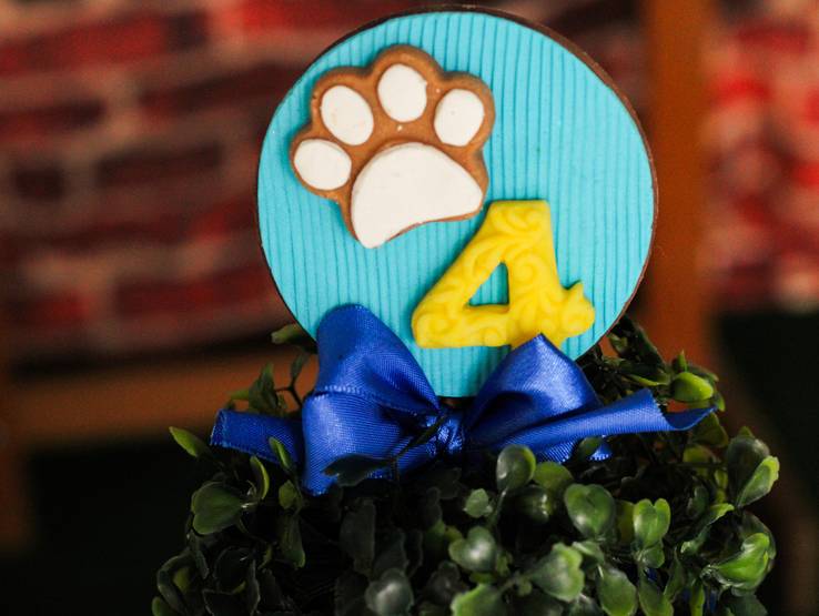 Aniversário Infantil de Aniversário do Kaio