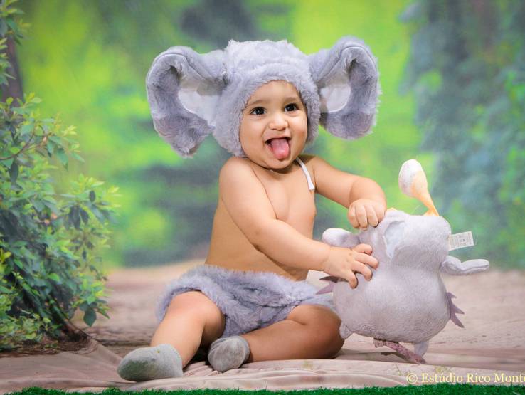 ACOMPANHAMENTO MENSAL de ENSAIO PELUCIA