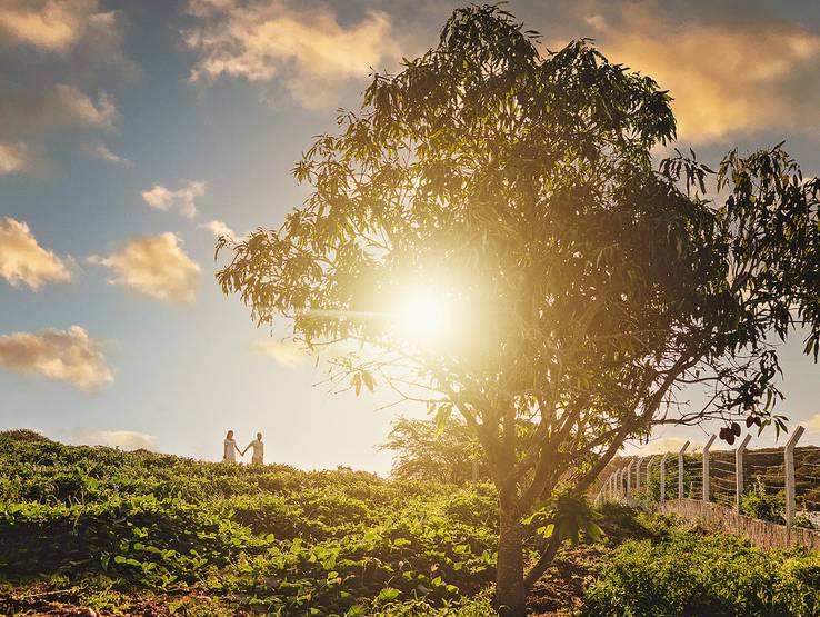 Ensaios de YASMIN + ALBERTO