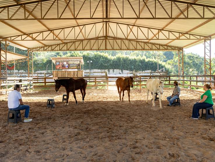 EVENTOS de Formação em Constelação com cavalos com Lucine Janiak