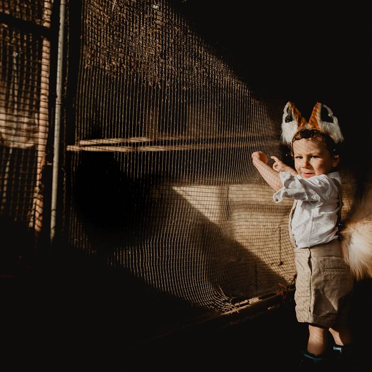 Criativas de Raposinha