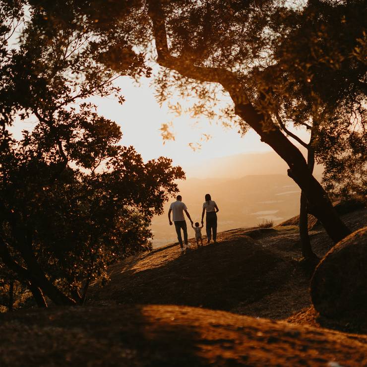 Família de Sonhos de familia