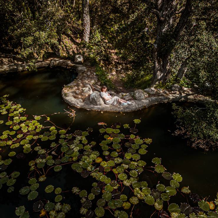 Gravidez de Gravidez de Vanessa