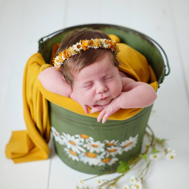 Recém Nascido de Recém-nascido C