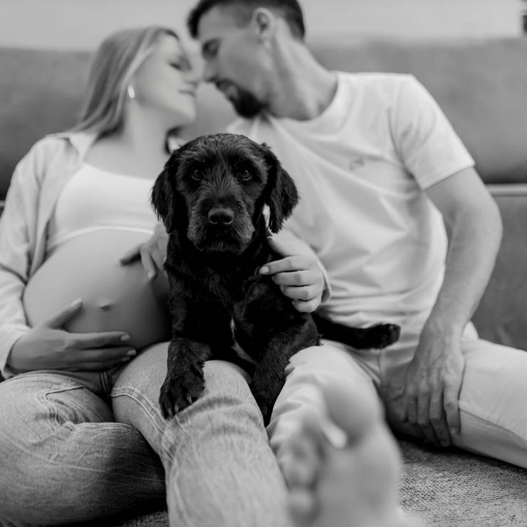 Gestante de Gestante Marcy 