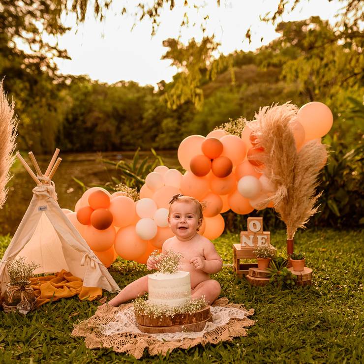 Smash the cake de Ana