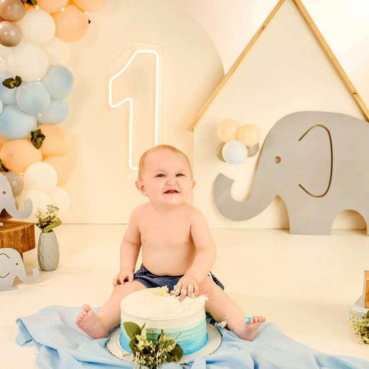 Smash the cake de Vicente