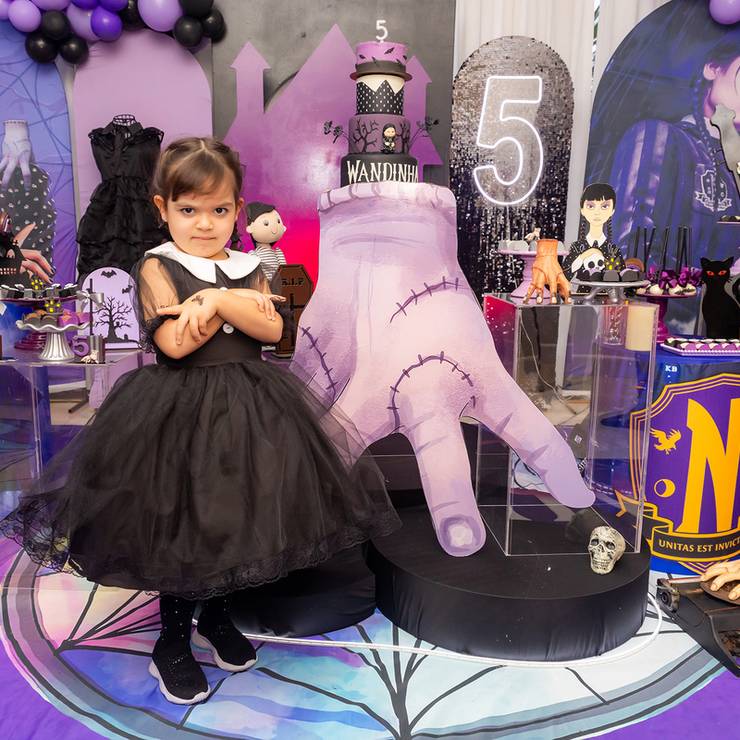 Festas Infantis de Aniversário da Malu - 5 anos