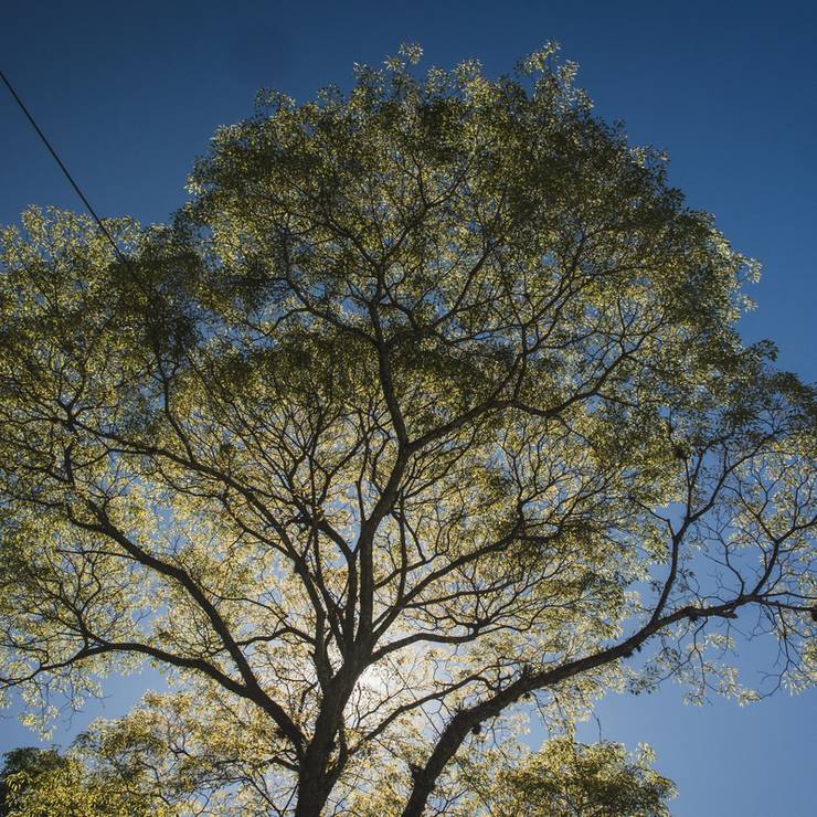 eventos de Casamento Gi e Edu