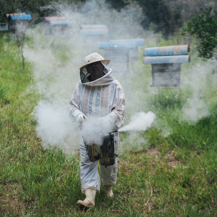 comercial de Bee Seasonal