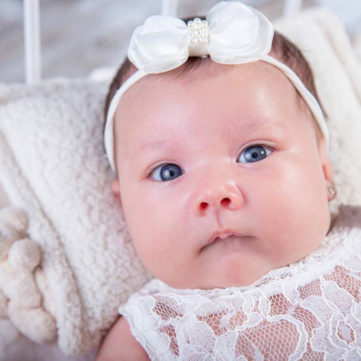 Acompanhamento  de Acompanhamento Meise 