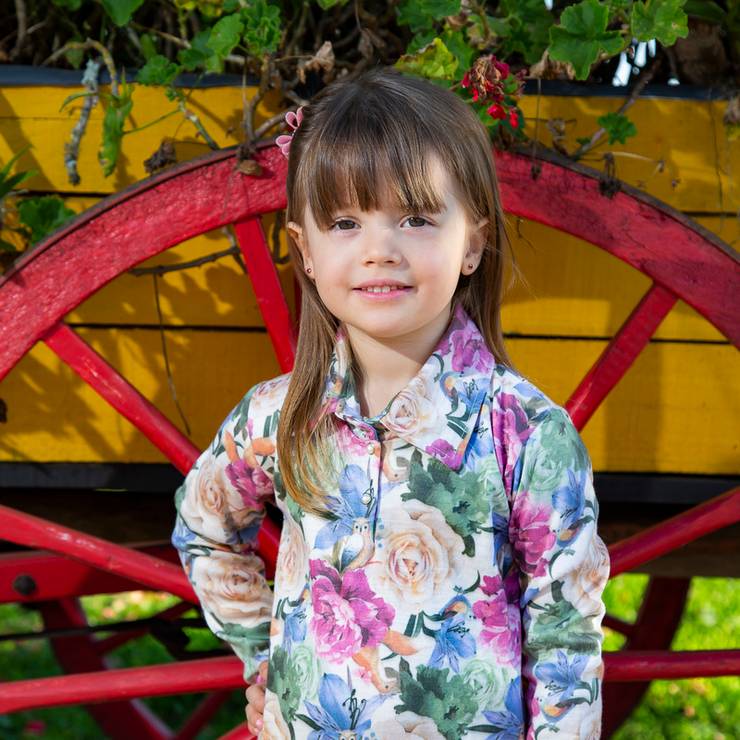 Ensaios Externos de Ensaio de 4 aninhos da Sofia