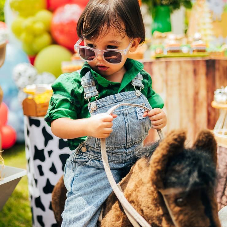 Festa Infantil de Fazendinha do Pedro 02 anos