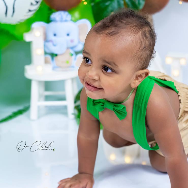SMASH THE CAKE de SMASH THE CAKE ENZO - TEMA SAFARI