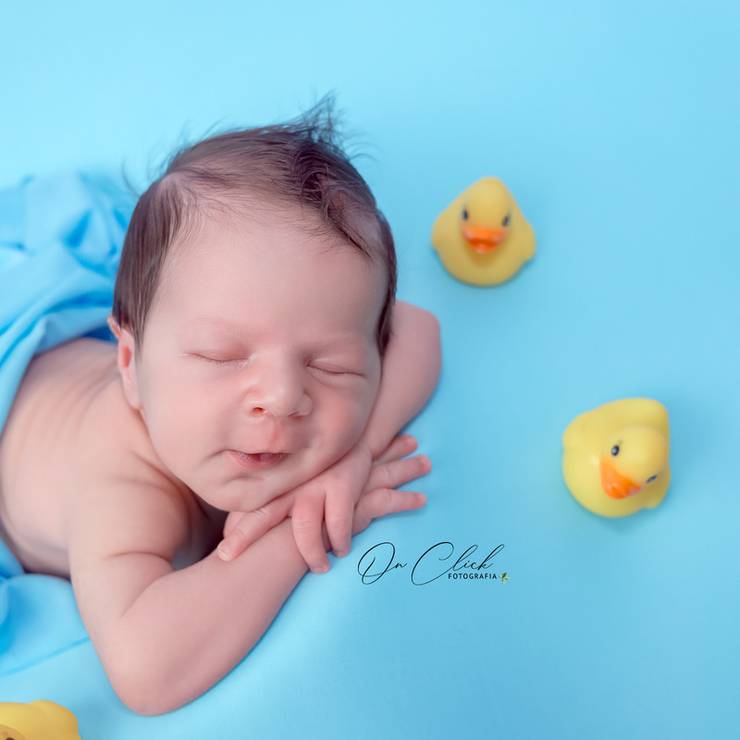 NEWBORN de NEWBORN BERNARDO MIGUEL - CARAGUATATUBA
