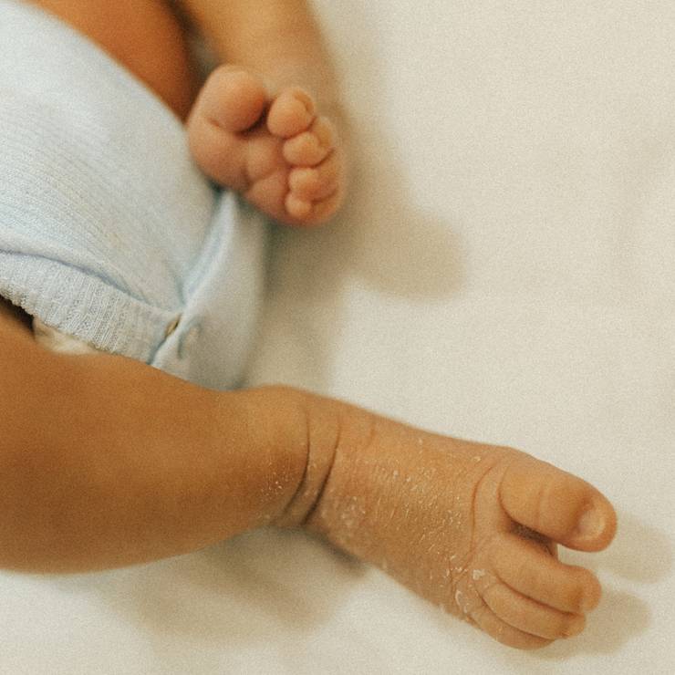 FAMÍLIAS E GESTANTES  de JOAQUIM PRIMEIROS DIAS