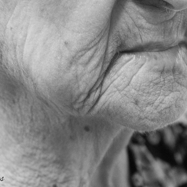 Ensaio de Idosos de Vovó Liormina