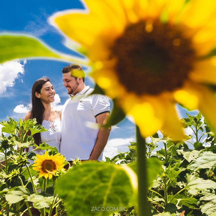 Ensaio Pré Wedding de Talita & Ricardo