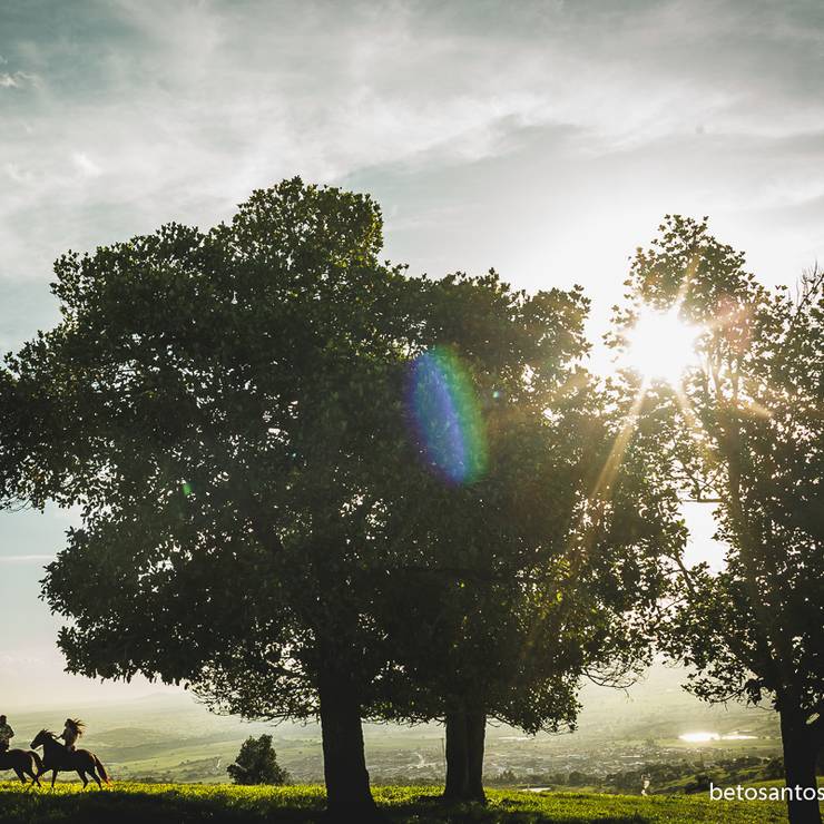 ENSAIOS de BÁRBARA + THIAGO