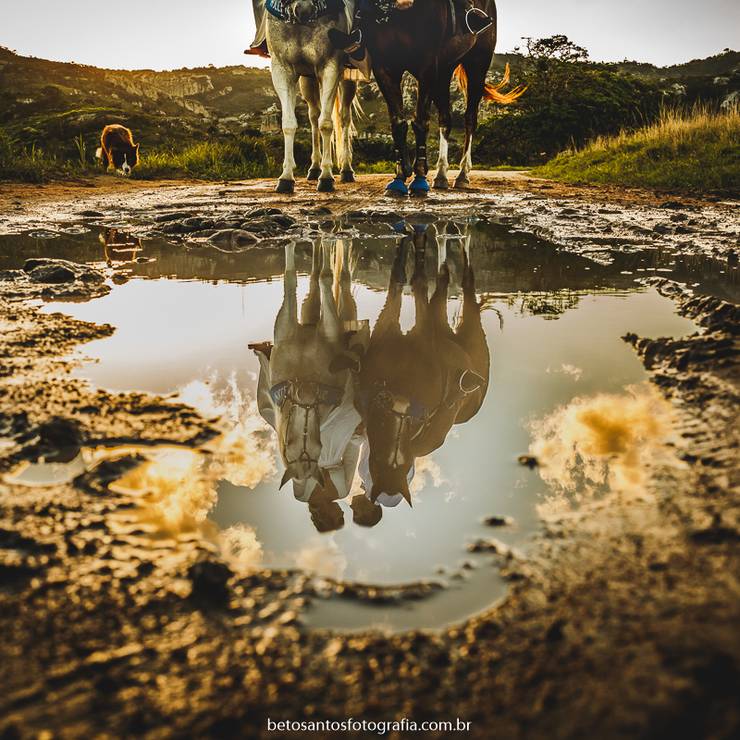 ENSAIOS de WILANNA + JUNINHO