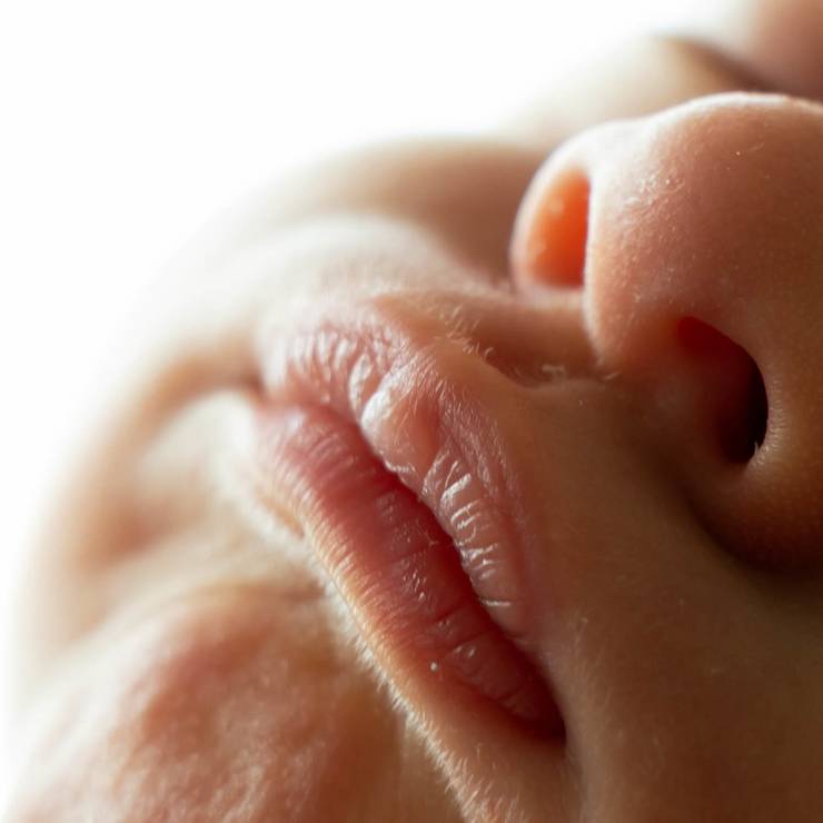 Ensaio Família de Murilo 9 dias