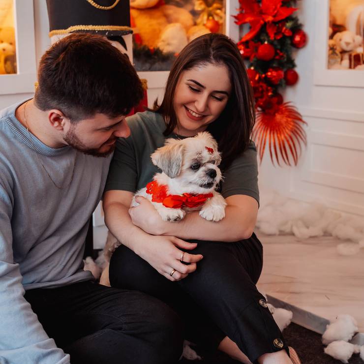 Famílias de Michele - Vitrine de Luzes