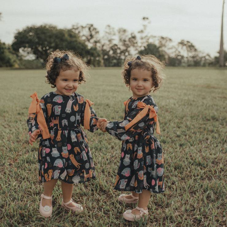 Famílias de Família da Linda e da Bela