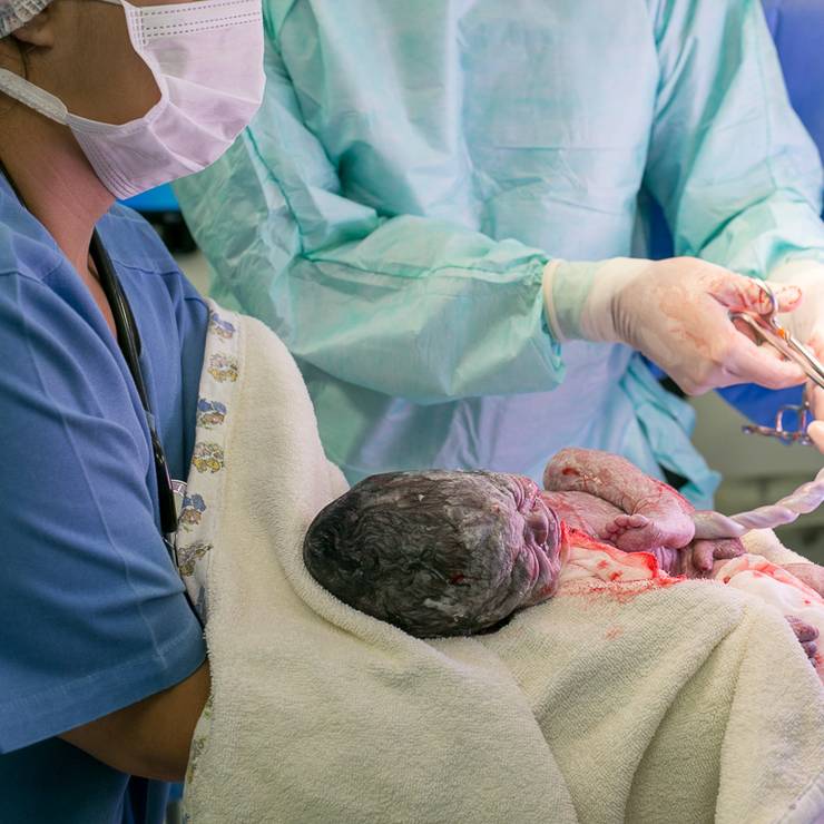 Partos de Seja bem vindo Davi