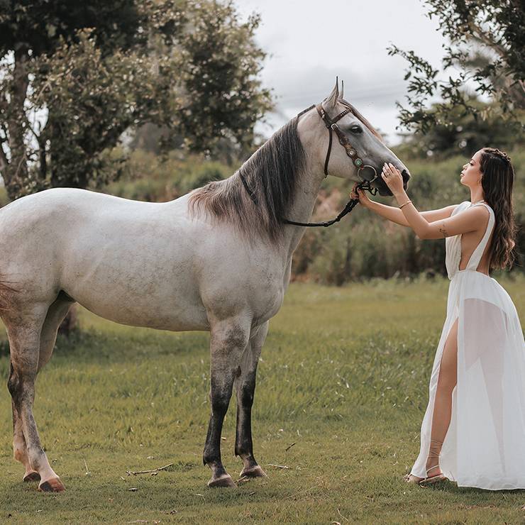Feminino de Daniela Braz