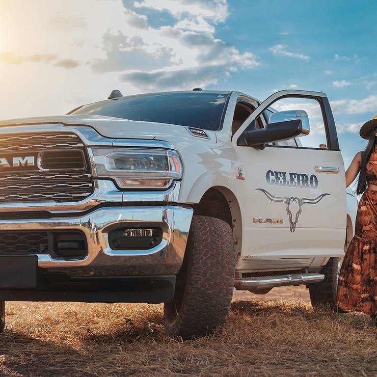 Feminino de Ana Lara