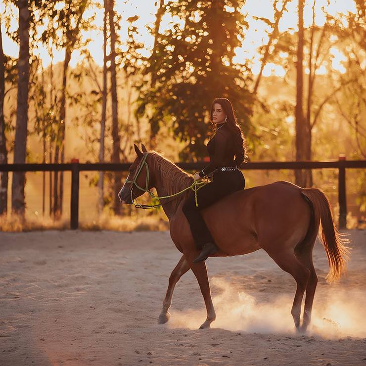 Feminino de Alline Teixeira