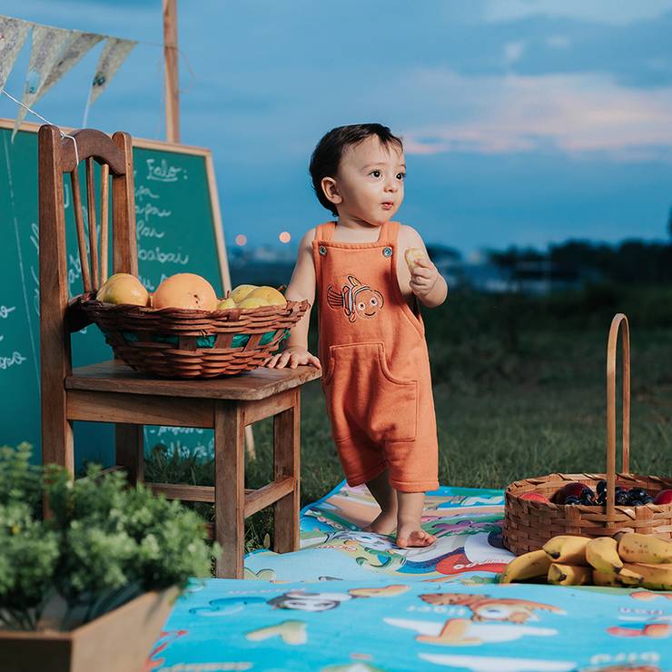 Infantil de Nathan Gabriel - 1 Aninho