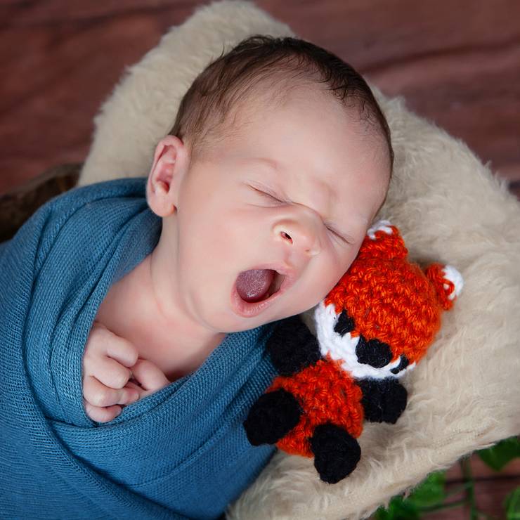 Newborn de Heitor Levi