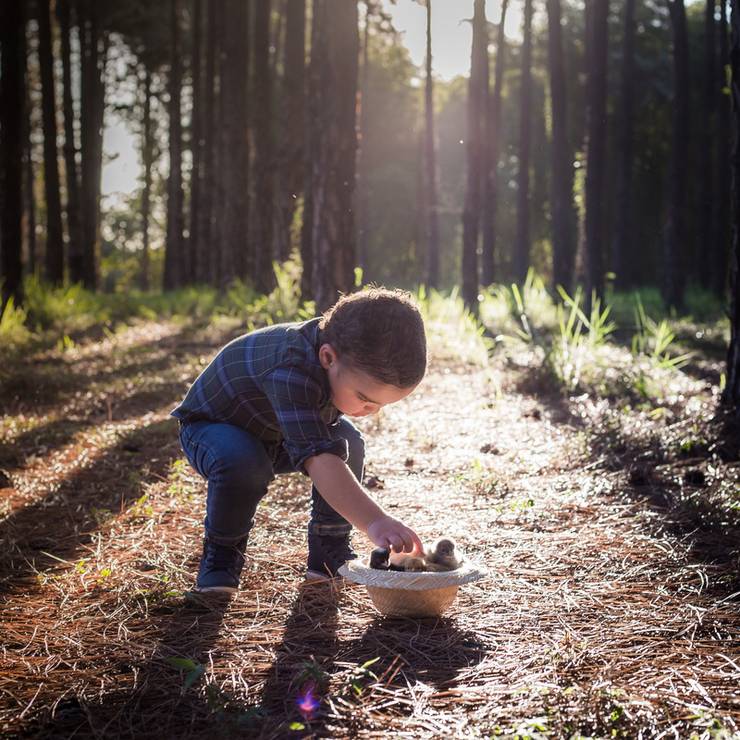 Ensaio de Enzo - 1 ano e 2 meses