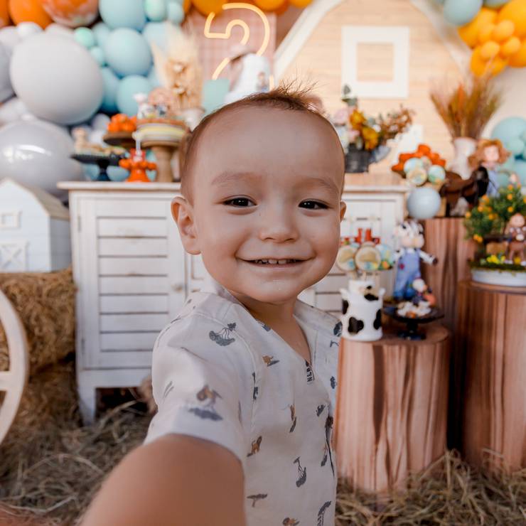 Aniversário Infantil de Enzo - 2º aniversário