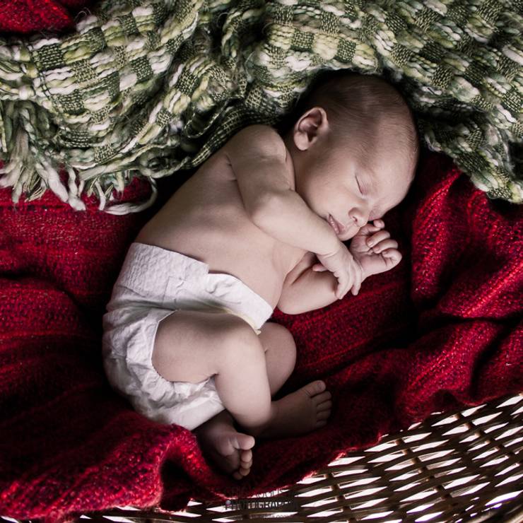 Em Família de Davi (Recém Chegado)