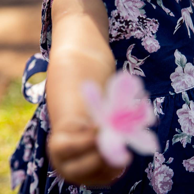 Em Família de Laura (1 ano)