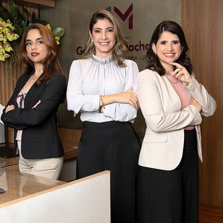 Ensaio de Perfil Profissional de Goldhar e Machado