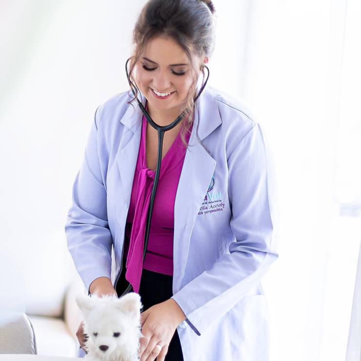 Ensaio de Perfil Profissional de Priscila Accioly