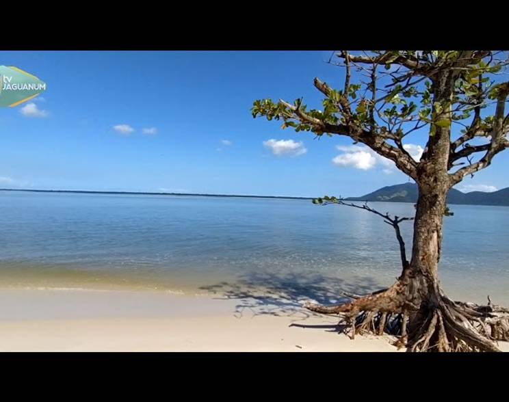 Meio Ambiente de Restinga da Marambaia