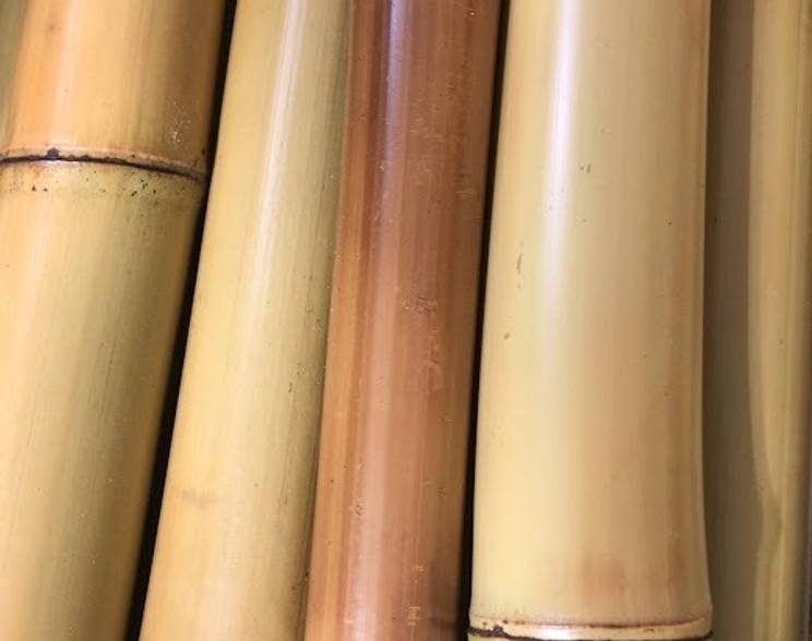 Bambu de Varas de Bambu 