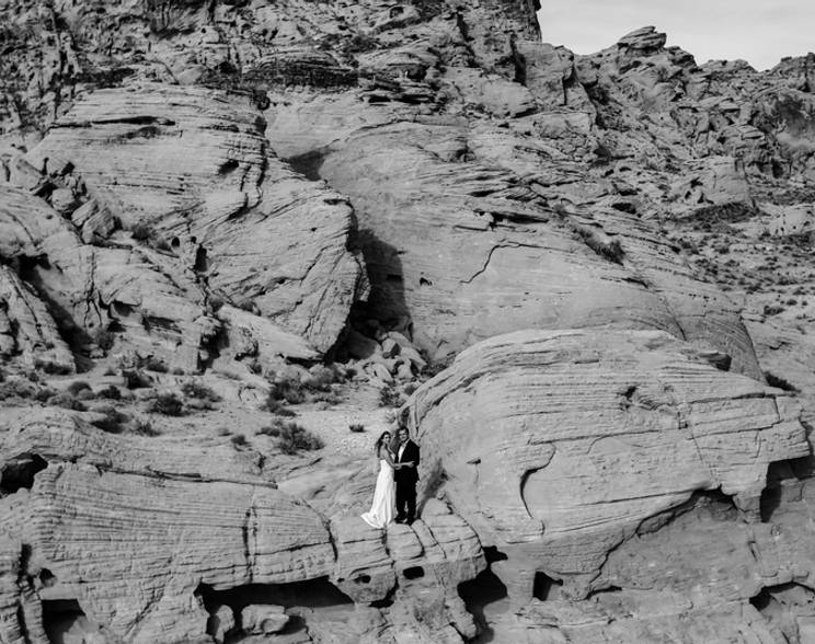 Internacional de Fernanda + Neto 