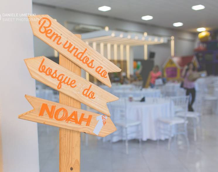 fotografia de aniversário infantil  de {Noah, 1º aninho} 