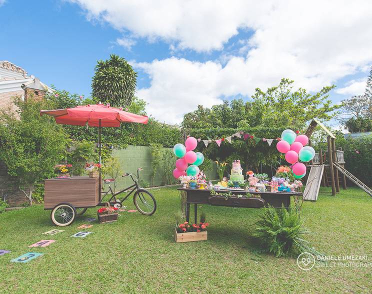 fotografia de aniversário infantil  de Heloísa, 2 anos {aniversário}