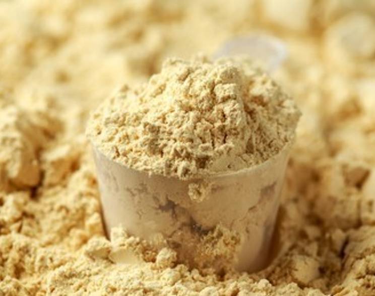 Vegan High Protein Powder of What are the Imperative Tips to Buy Vegan Protein High Protein Powder